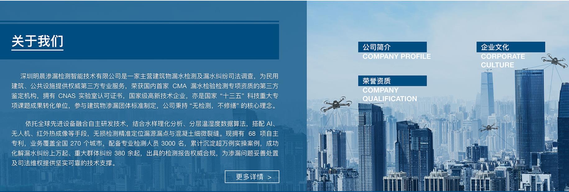 项目截图
