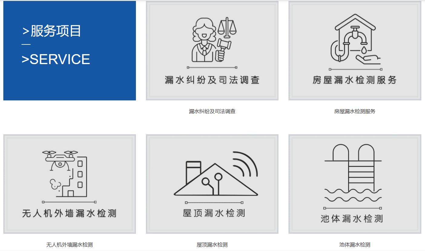 项目截图